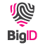 BigID Logo