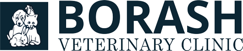 Borash Veterinary Clinic Logo