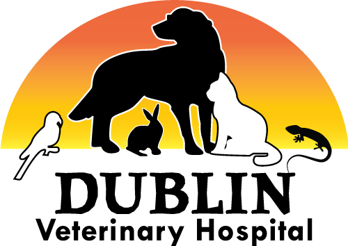 Dublin Veterinary Hospital Logo