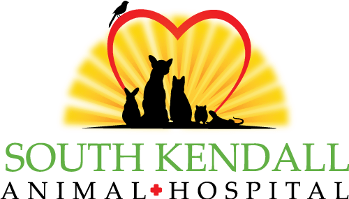 Job Application for [SKAH] Veterinarian at South Kendall Animal Hospital