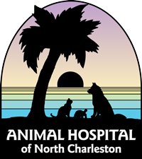 Animal Hospital of North Charleston Logo