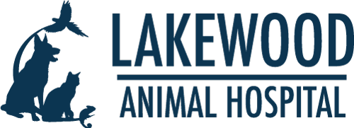 Job Application for DVM Student Externship/Preceptorship Program — Lakewood Animal Hospital at Lakewood Animal Hospital Job Application for DVM Student Externship/Preceptorship Program — Lakewood Animal Hospital at Lakewood Animal Hospital