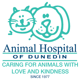 Animal Hospital of Dunedin Logo