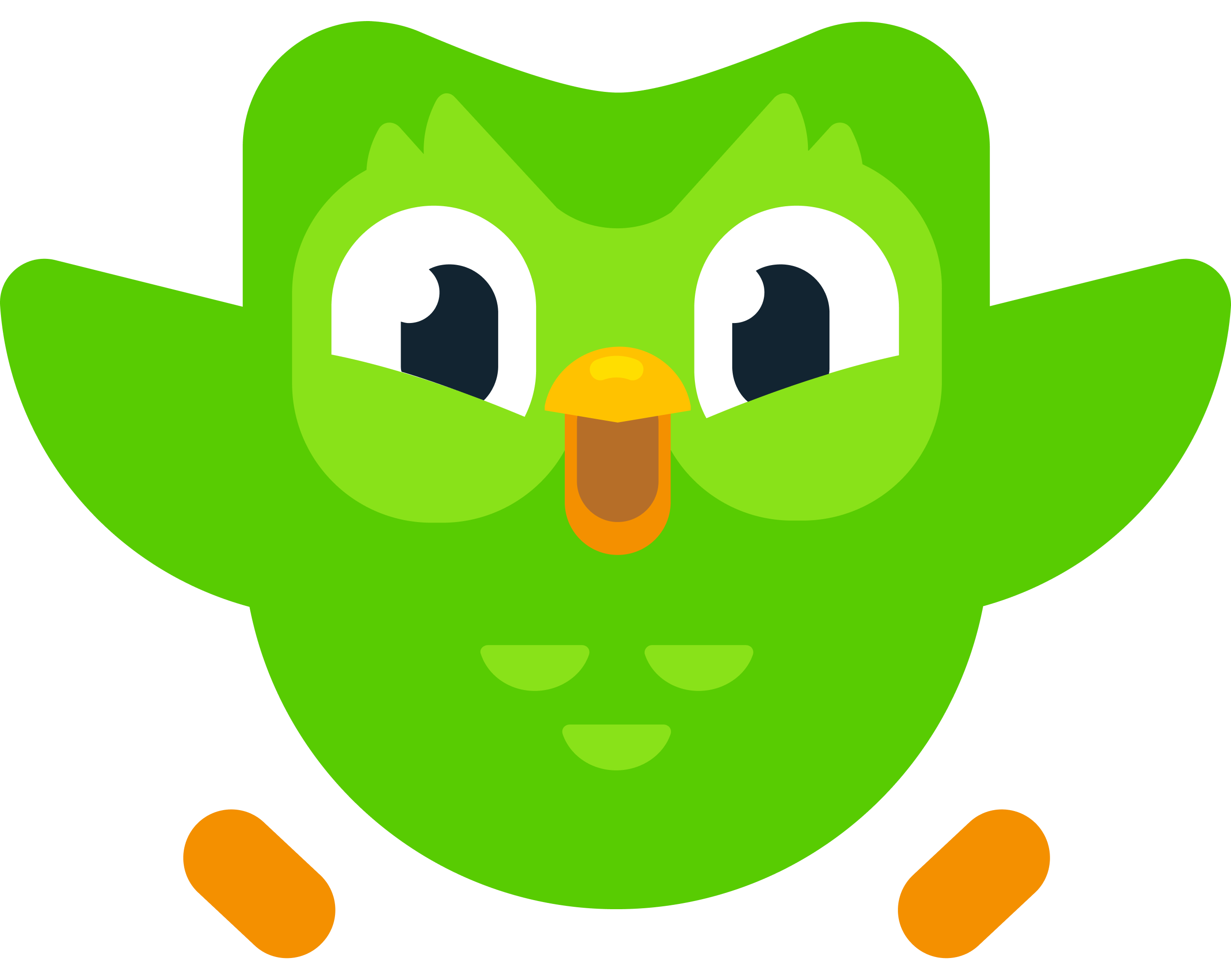 Duolingo учим. Значок Duolingo. Зеленая Сова Дуолинго. Сова из Duolingo. Duolingo герои.