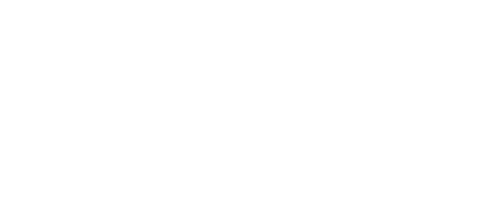 SpaceX_Global Logo